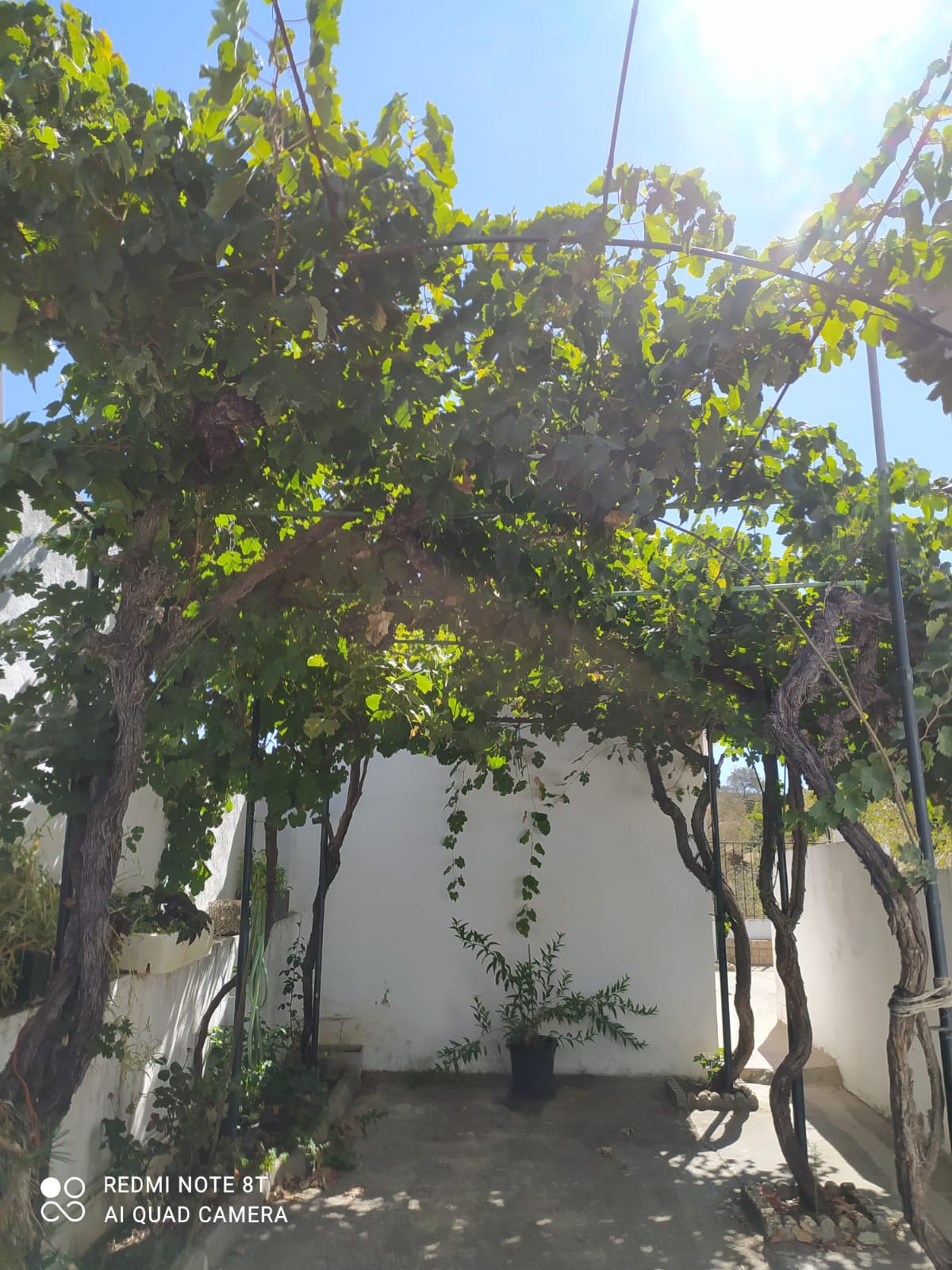 بيع من الشاليه في Cádiz